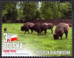 Piękno Polski znaczek nr 5219
