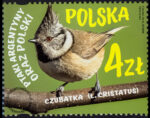 Ptaki Argentyny oraz Polski - 5266