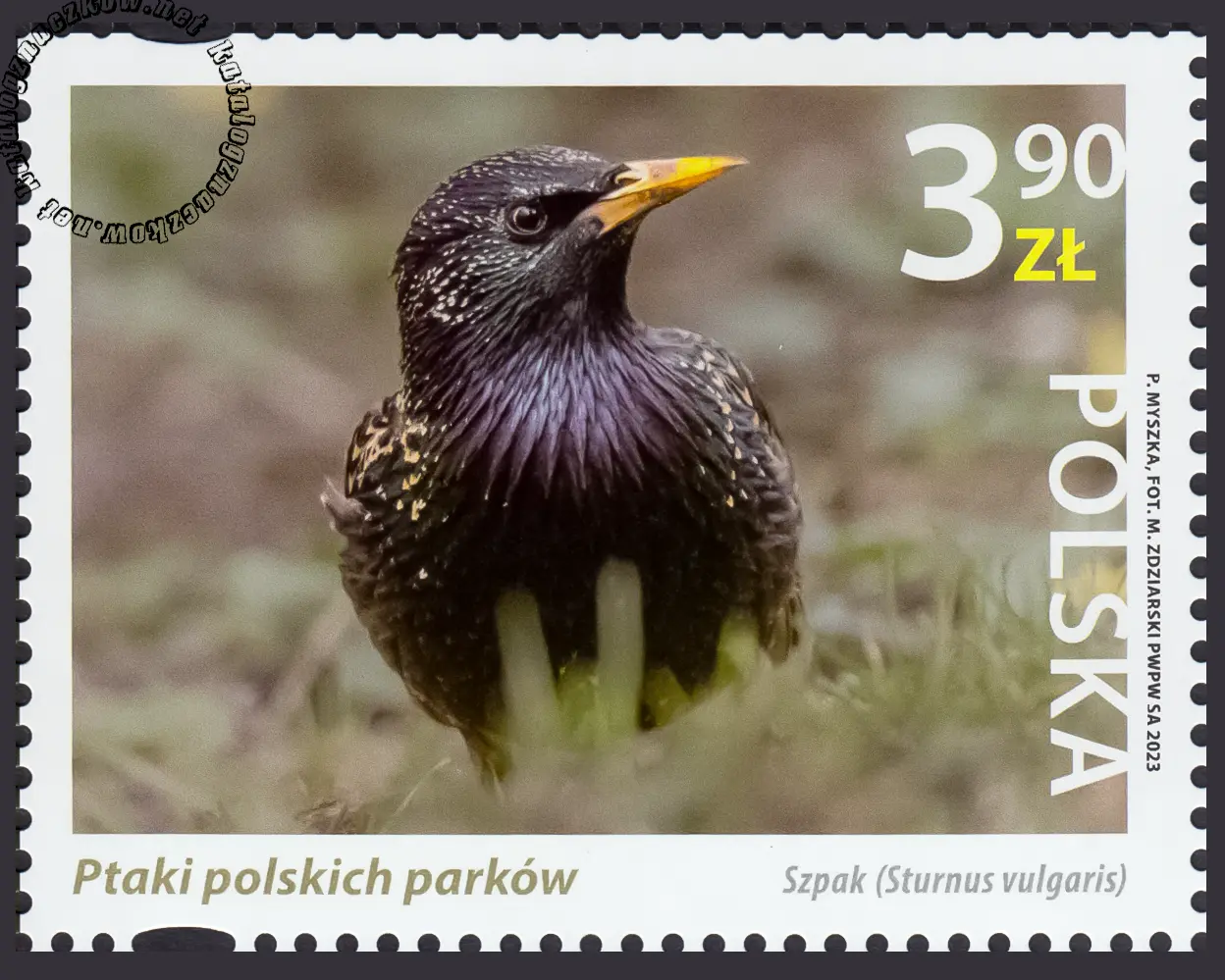 Ptaki polskich parków znaczek nr 5288