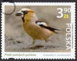 Ptaki polskich parków - 5289