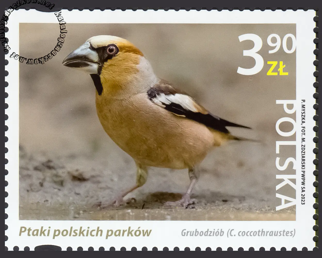 Ptaki polskich parków znaczek nr 5289