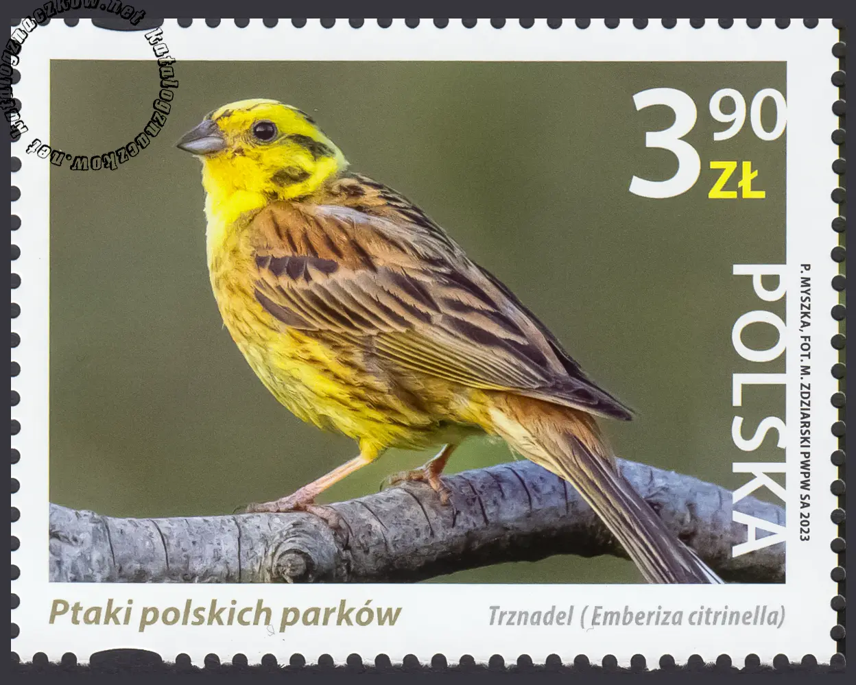 Ptaki polskich parków znaczek nr 5291
