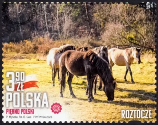 Piękno Polski znaczek nr 5309