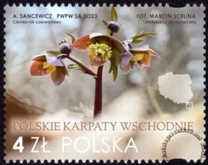 Polskie Karpaty Wschodnie znaczek nr 5313