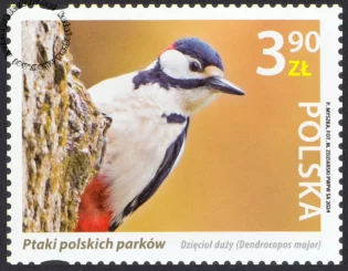 Ptaki polskich parków znaczek nr 5366