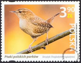 Ptaki polskich parków znaczek nr 5367