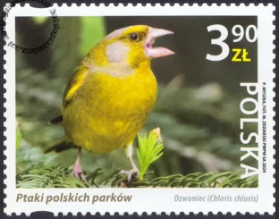 Ptaki polskich parków znaczek nr 5368