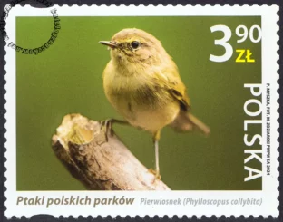Ptaki polskich parków znaczek nr 5369