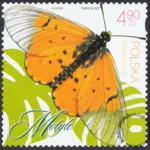 Motyle znaczek numer 5453