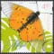 Motyle znaczek numer 5453