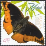 Motyle znaczek numer 5454