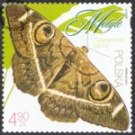 Motyle znaczek numer 5455