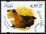 Zwierzęta domowe znaczek numer 5460