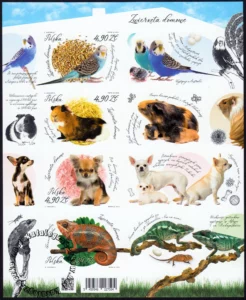 Zwierzęta domowe blok numer 275A