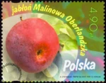 Owoce naszych sadów znaczek numer 5469