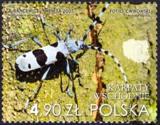 Karpaty Wschodnie znaczek numer 5475