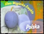Owoce naszych sadów znaczek numer 5472