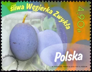Owoce naszych sadów znaczek numer 5472